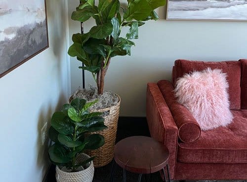 plano-therapy-office-2 frisco counseling office